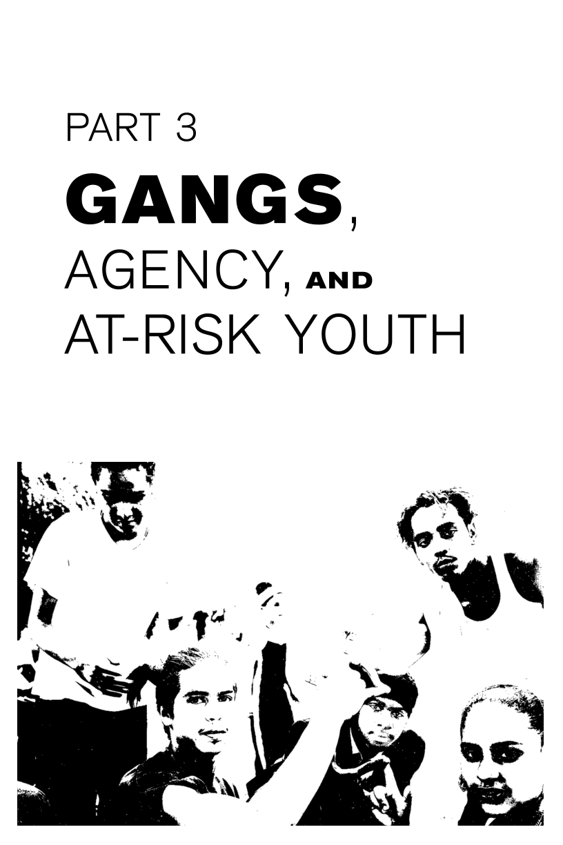 Gangs and Society: Alternative Perspectives page 117