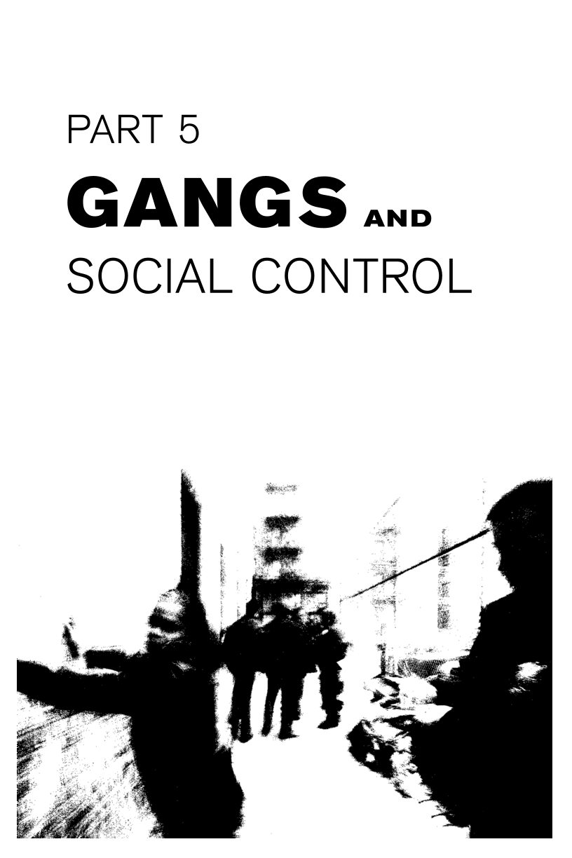Gangs and Society: Alternative Perspectives page 211