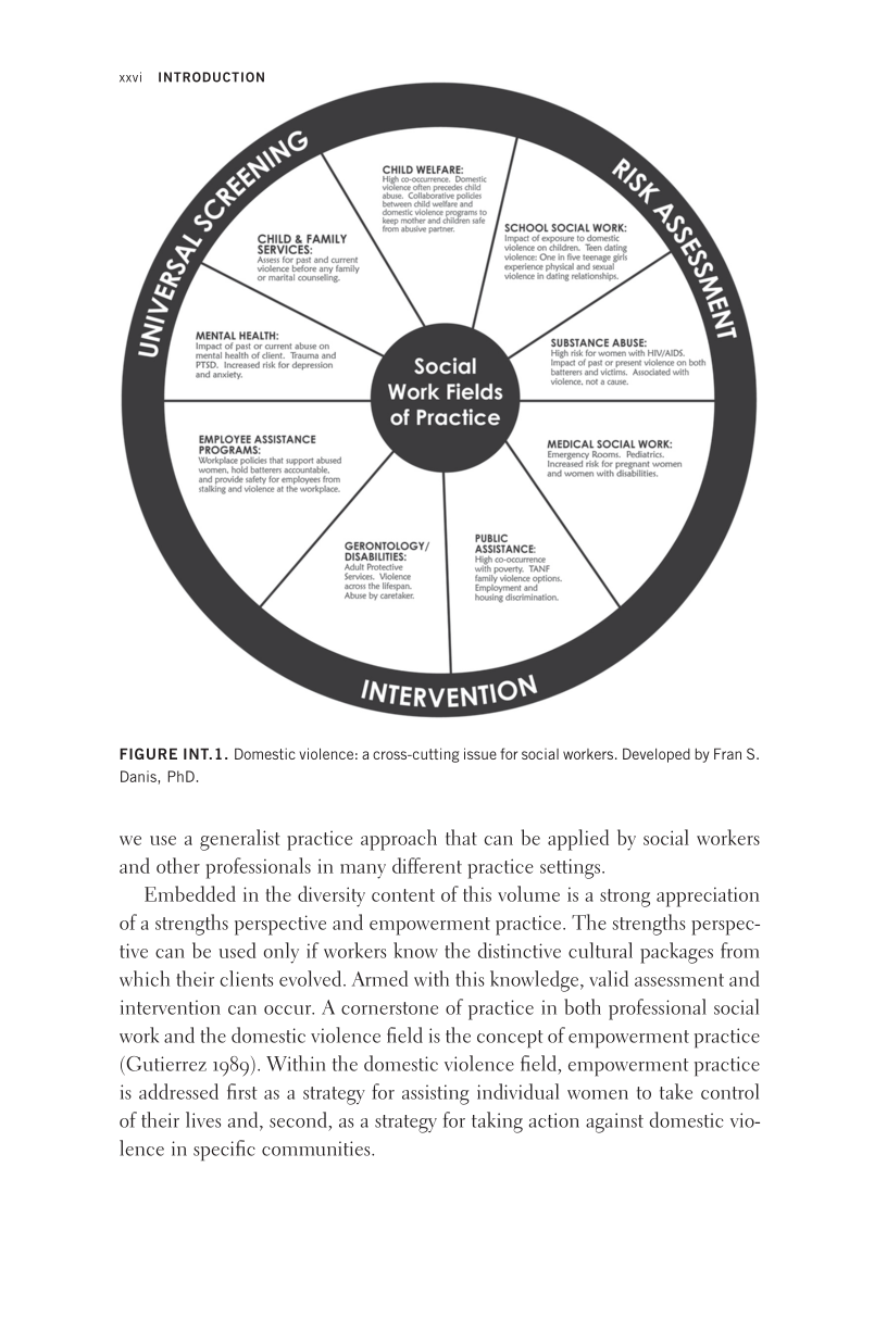 Domestic Violence: Intersectionality and Culturally Competent Practice page xxvi